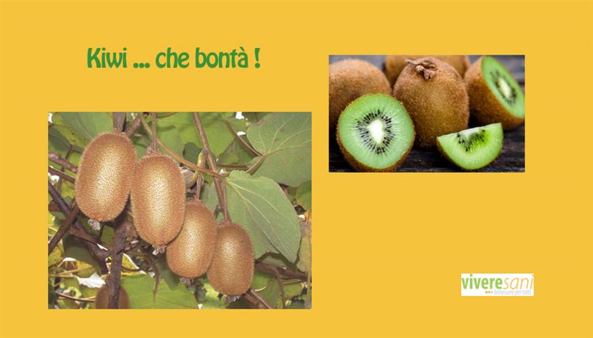Kiwi: succosi e pieni di gusto Kiwi: succosi e pieni di gusto
